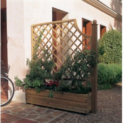 Perete despartitor edera45