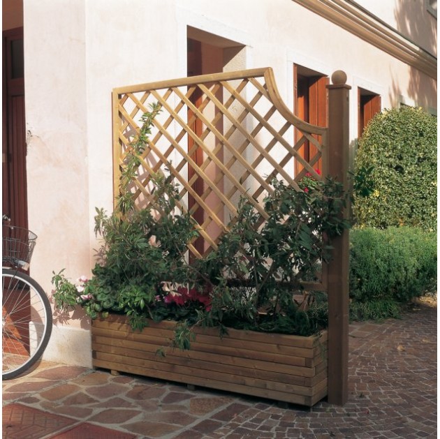 Perete despartitor edera45