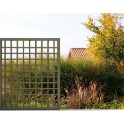 Perete despartitor edera 90