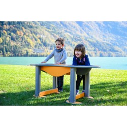 SUPRAFATA SUPERIOARA DE JOACA XP13 CU TAVI