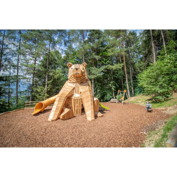 Constructie Urs Așezat