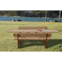 Masa incluziva pentru picnic PR250